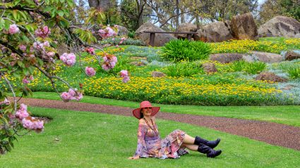 Japanese Garden - Cowra 